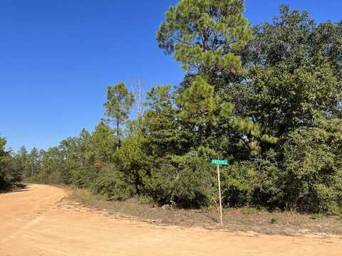 LOT 30 Yvette Dr, Alford, FL 32420