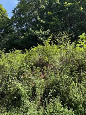 115 Hughes Hollow Road, Philadelphia, TN 37880