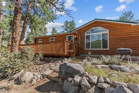 488 31st Trail, Texas Creek, CO 81223