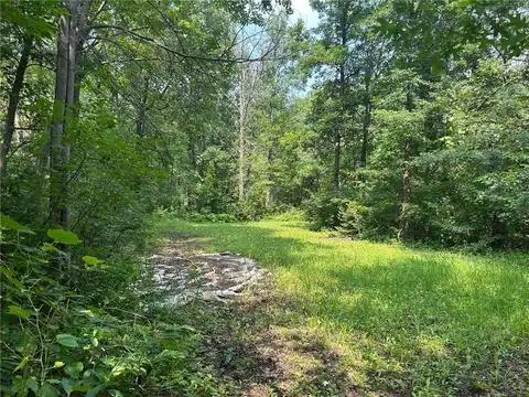 266xx Birch Trail, Garrison, MN 56450