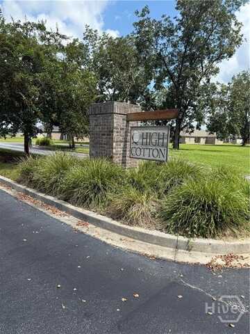 507 Delta Pine Court, Statesboro, GA 30461