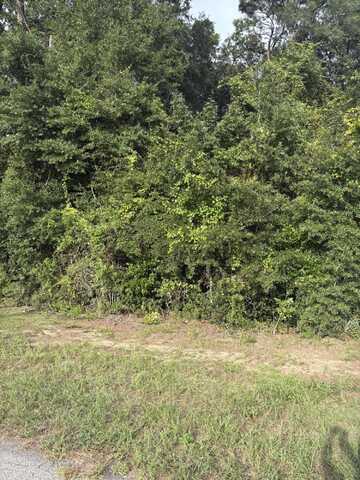 2905 Ithica Drive, Sumter, SC 29154
