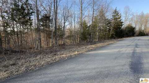 Charlie Morrison Road, Columbia, KY 42728
