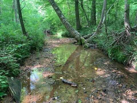 Little Bear Lane, Spout Spring, VA 24593