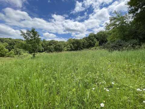 Lot 175 Elk Court, La Valle, WI 53941