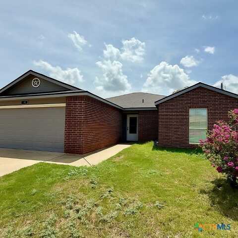 1005 E Avenue S, Belton, TX 76513