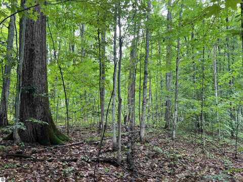 4656 E Circle Drive, Kalkaska, MI 49646