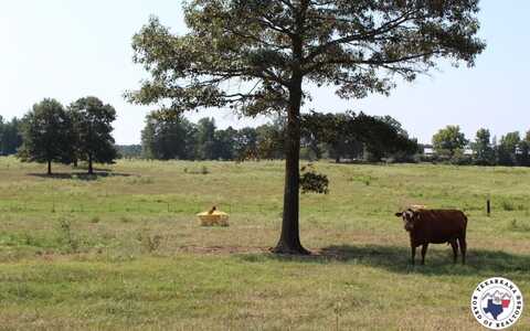 TBD MC 10 & 268, Fouke, AR 71854