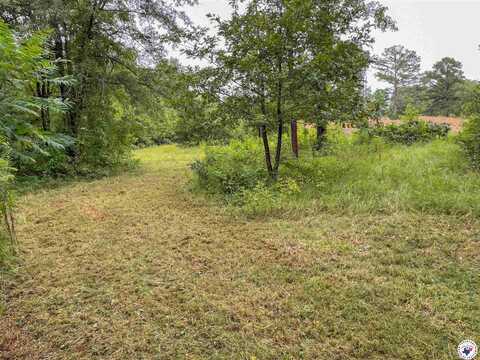 0 CR 4217, Simms, TX 75574