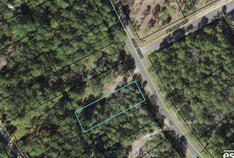 Surf Road, Panacea, FL 32346