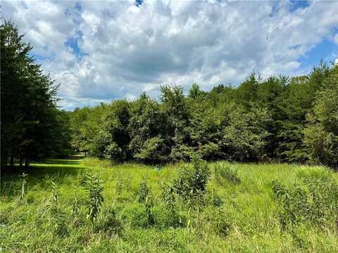 0 Renee Lane, Westfield, NC 27053