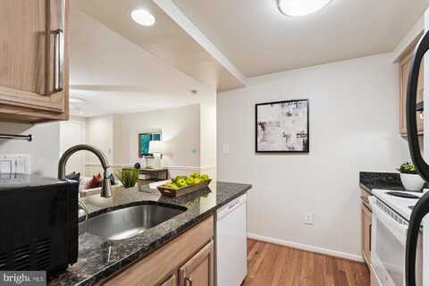 9731 HELLINGLY PLACE, MONTGOMERY VILLAGE, MD 20886