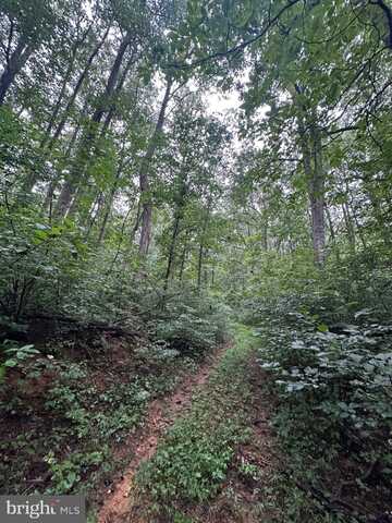 BLUERIDGE MOUNTAIN, PARIS, VA 20130