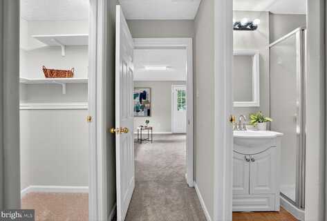 8763 COLD PLAIN COURT, SPRINGFIELD, VA 22153