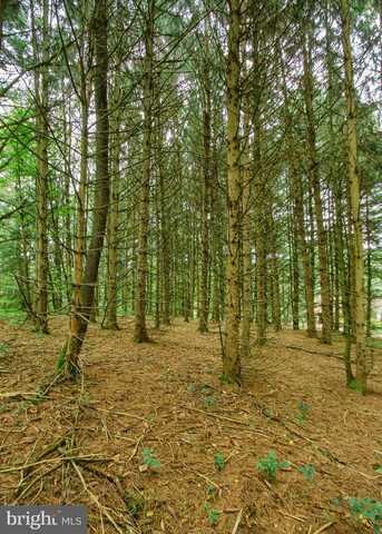 0 MARION DRIVE, LANDISBURG, PA 17040