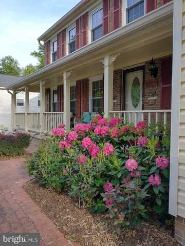 8809 SHADOWLAKE WAY, SPRINGFIELD, VA 22153