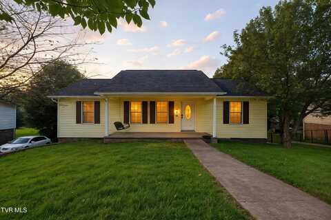 159 Hunters Run Lane, Mount Carmel, TN 37645