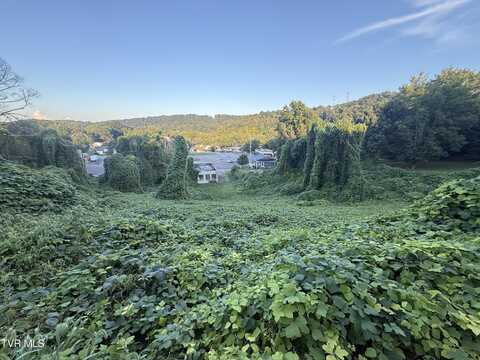 Lot 16 Birdwell, Kingsport, TN 37664