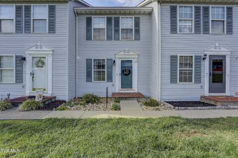 219 Hunter Hills Circle, Bristol, TN 37620