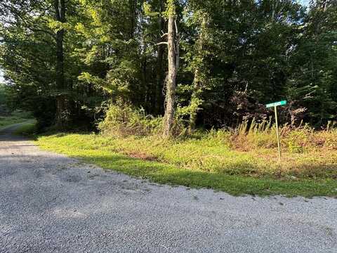 n/a Panther Branch Road, Jamestown, TN 38556