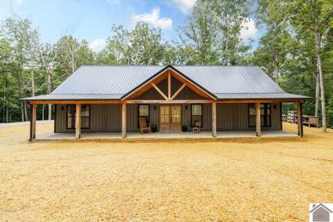 239 McGinley Lp, Other, KY 42323