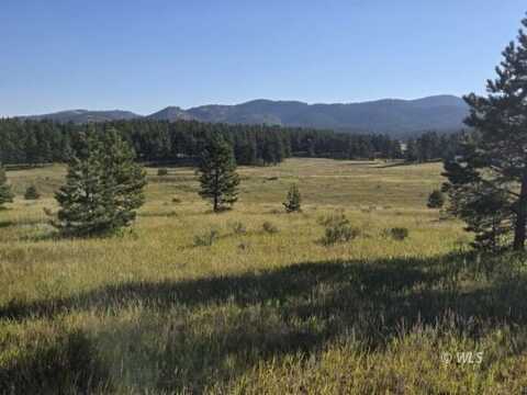 755 Black Fawn Ln, Westcliffe, CO 81252