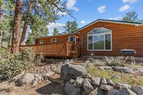 488 31st Trail, Texas Creek, CO 81223