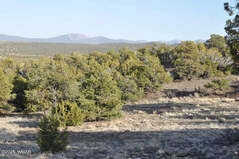 20 Co Rd 3 3044, Concho, AZ 85924