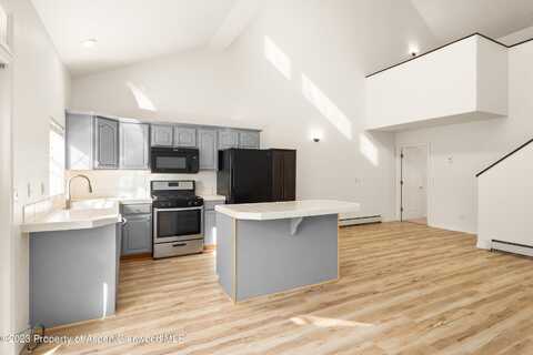 2009 Arbor Park Drive, Basalt, CO 81621