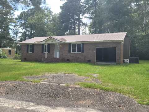 25 Orangeburg Drive, Wagener, SC 29164