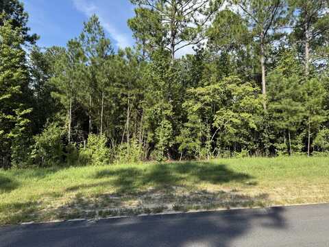 Lot 48 Pasture Creek Lane, Aiken, SC 29803