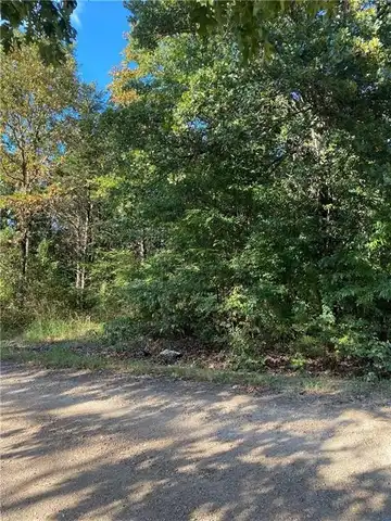 TBD West AVE, Lead Hill, AR 72644