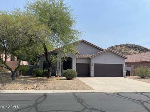4943 S LAS MANANITAS Trail, Gold Canyon, AZ 85118