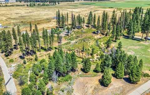185 Spirit Spgs, Greenville, CA 95947