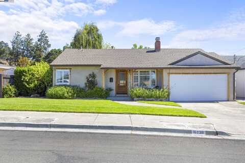 16238 Lyle St, Castro Valley, CA 94578