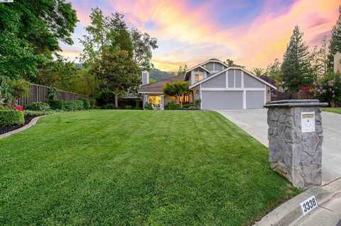3338 Marsh Hawk Court, Pleasanton, CA 94588