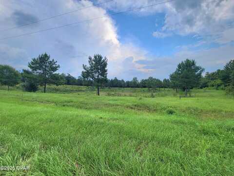 00 Lovedale Road, Bascom, FL 32423