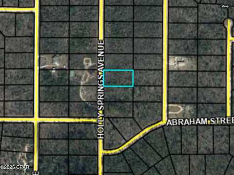 Holly Springs Avenue, Alford, FL 32420