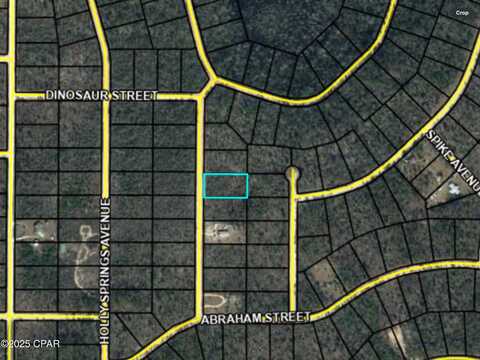 Chattahoochee Avenue, Alford, FL 32420