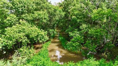 31100 Old Sour Lake Rd, OTHER, TX 77659