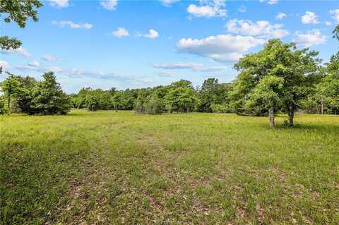 3265 Golden Trail, College Station, TX 77845