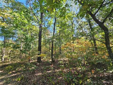 Tract D Beechnut Road, Stover, MO 65078