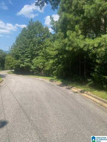 630 FERN CREEK DRIVE, ODENVILLE, AL 35120