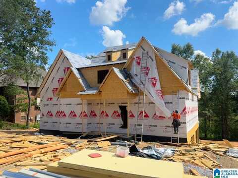336 EMERALD LANE, CHELSEA, AL 35043