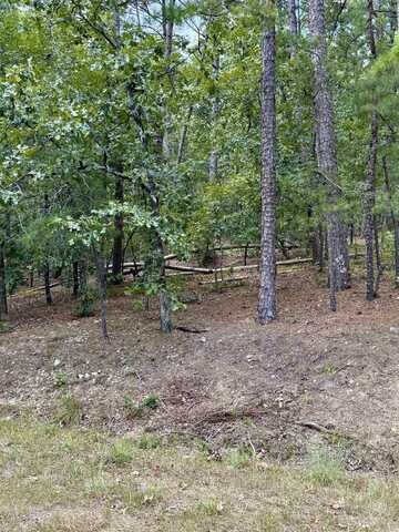 4 Zaragoza Way, Hot Springs Village, AR 71909