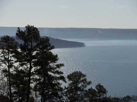 00 Diamond Bluff Rd, Greers Ferry, AR 72067