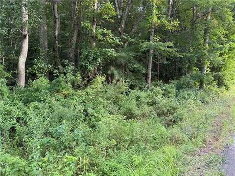 00 Clay Bank TM37-106 Road, Gloucester, VA 23061