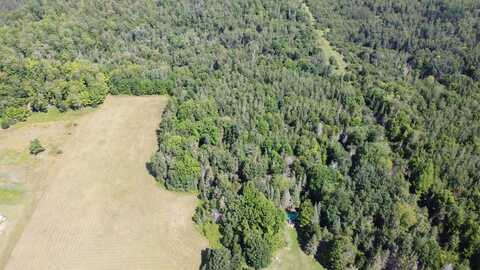 17 ACRES E TRAYNOR RD, GOETZVILLE, MI 49736