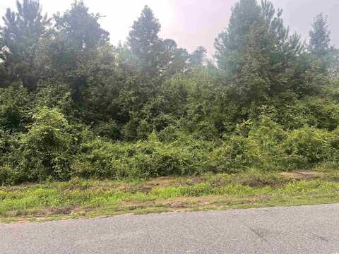 TBD Kerl Rd., Conway, SC 29526