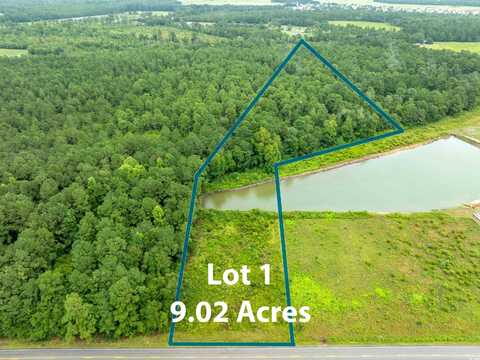 TBD Lot 1 Highway 19, Loris, SC 29569